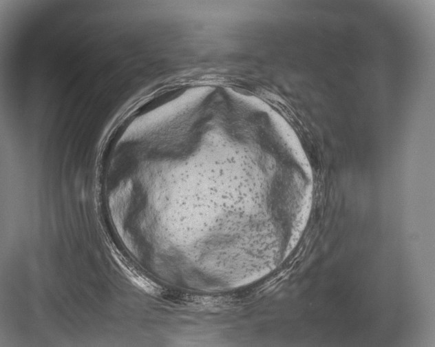 X0000082690293200702161731