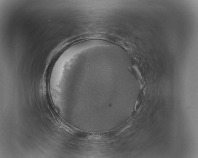 X0000082690294200702161731