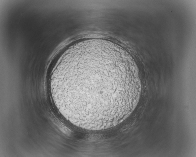 X0000082690296200702161731