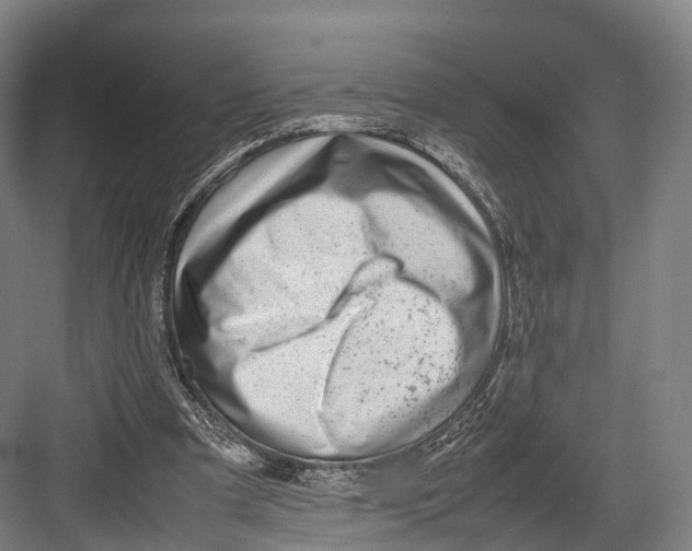 X0000082690297200702161731