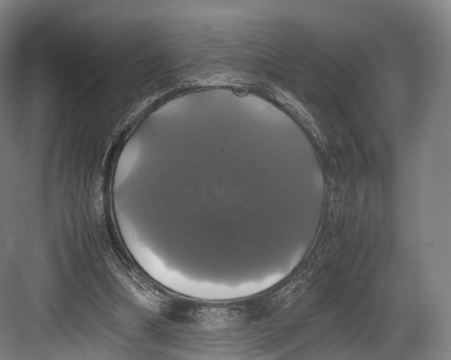 X0000082690298200702161731