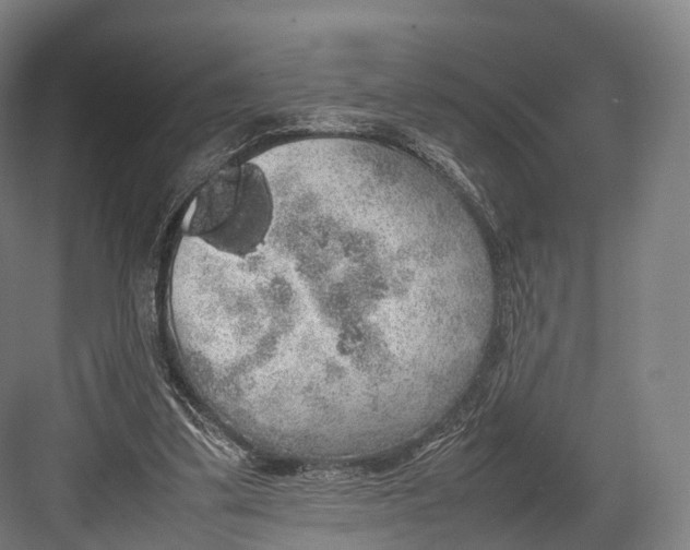 X0000082690299200702161731