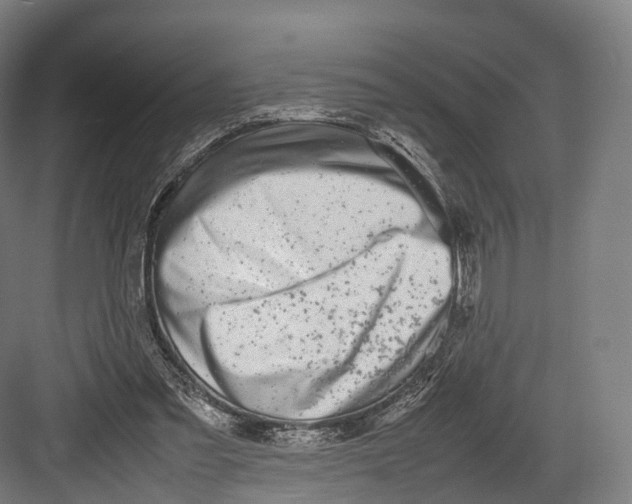 X0000082690301200702161731