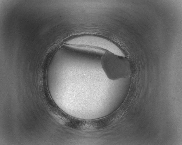 X0000082690303200702161731