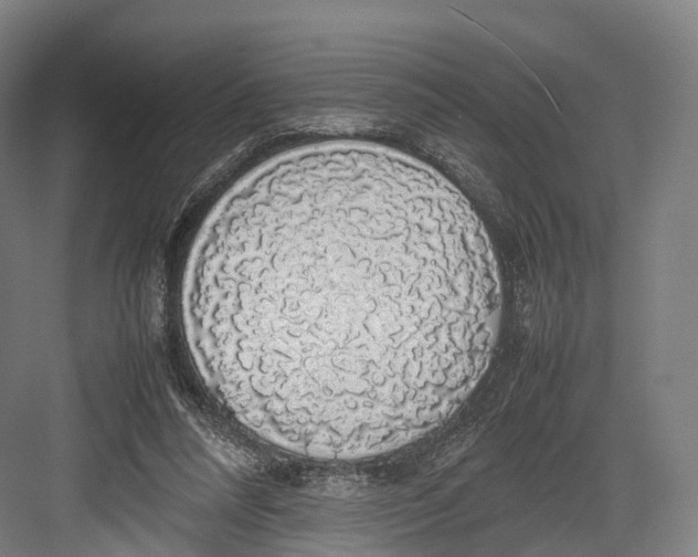 X0000082690304200702161731