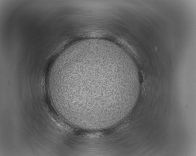 X0000082690306200702161731