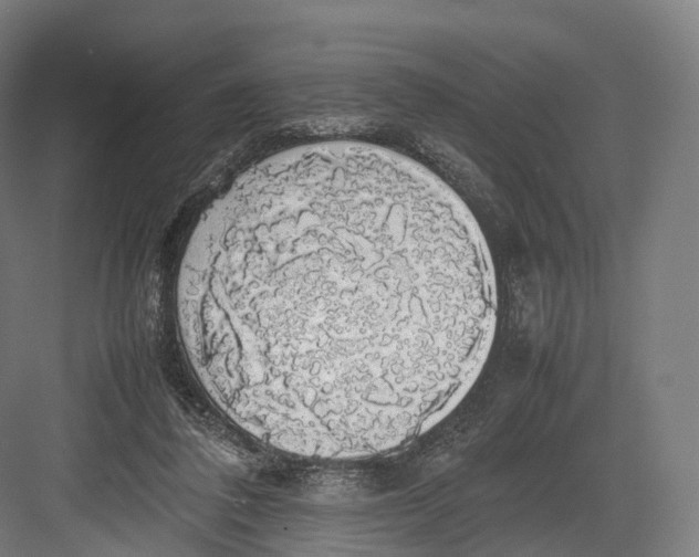 X0000082690308200702161731