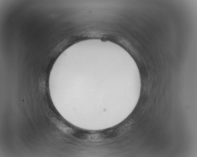 X0000082690309200702161731