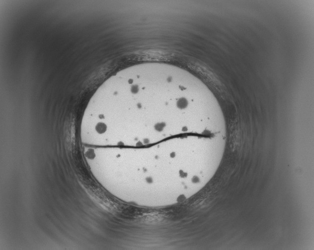 X0000082690310200702161731