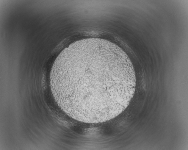 X0000082690312200702161731