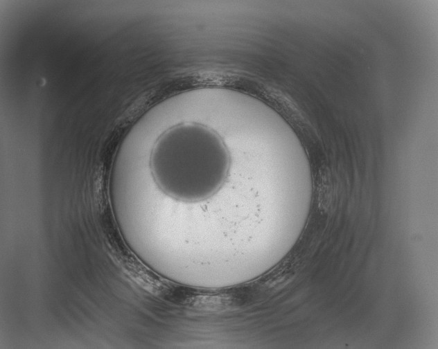 X0000082690314200702161731