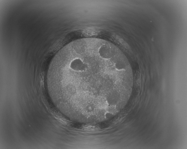 X0000082690315200702161731