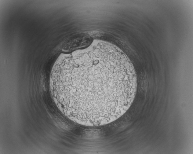 X0000082690316200702161731