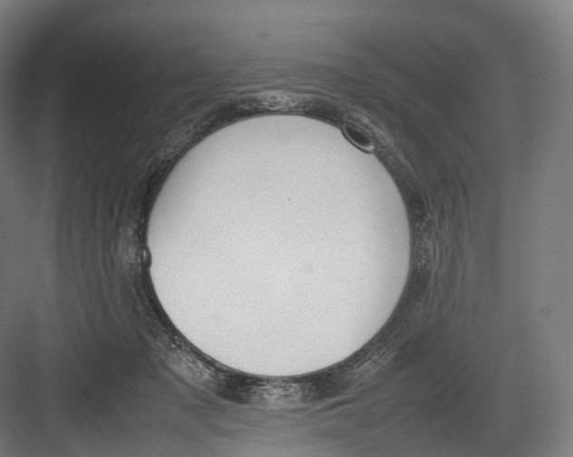 X0000082690317200702161731