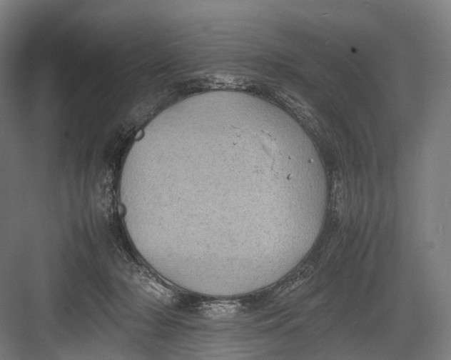 X0000082690318200702161731