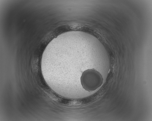 X0000082690319200702161731