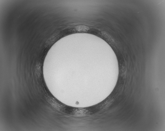 X0000082690321200702161731