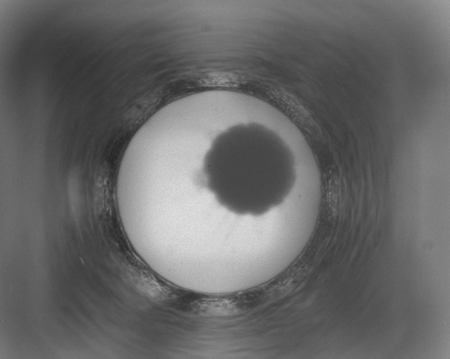 X0000082690322200702161731