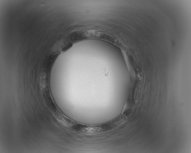 X0000082690323200702161730