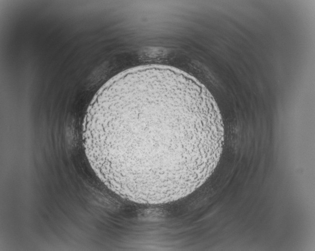 X0000082690324200702161730