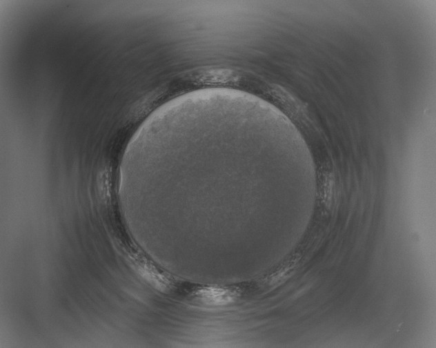 X0000082690326200702161730