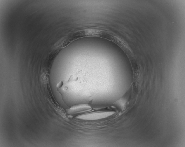 X0000082690329200702161730