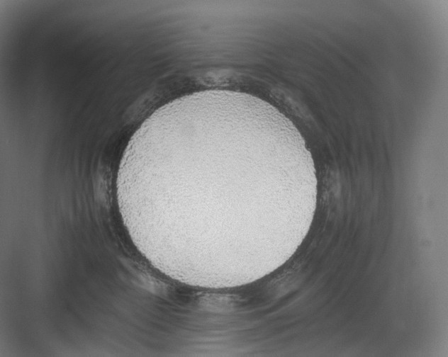 X0000082690332200702161730