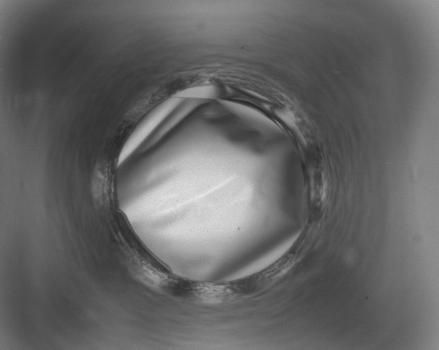 X0000082690333200702161730