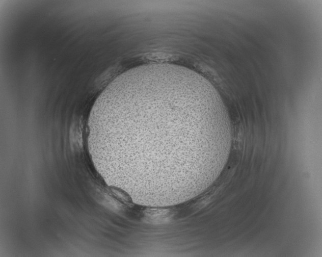 X0000082690334200702161730