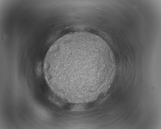 X0000082690335200702161730