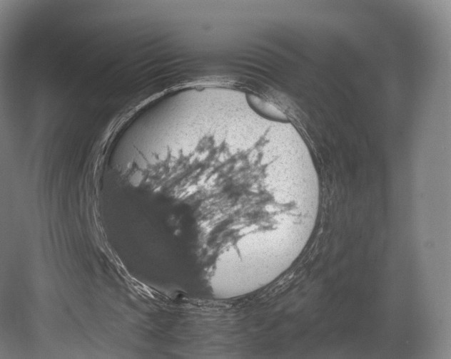 X0000082690337200702161729