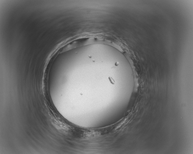 X0000082690340200702161730