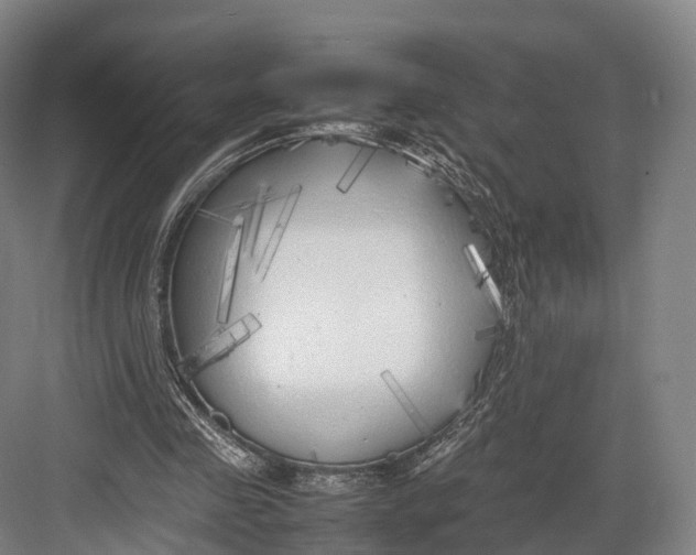 X0000082690341200702161730