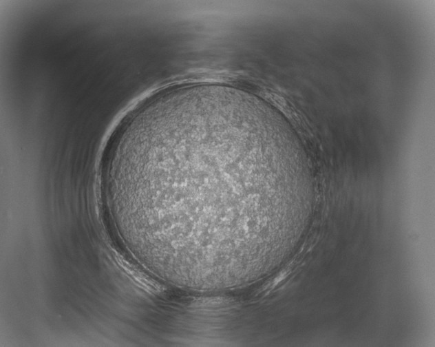 X0000082690342200702161730