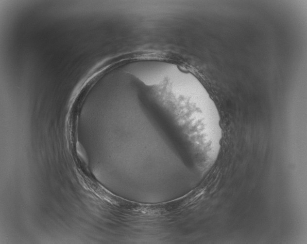 X0000082690343200702161730