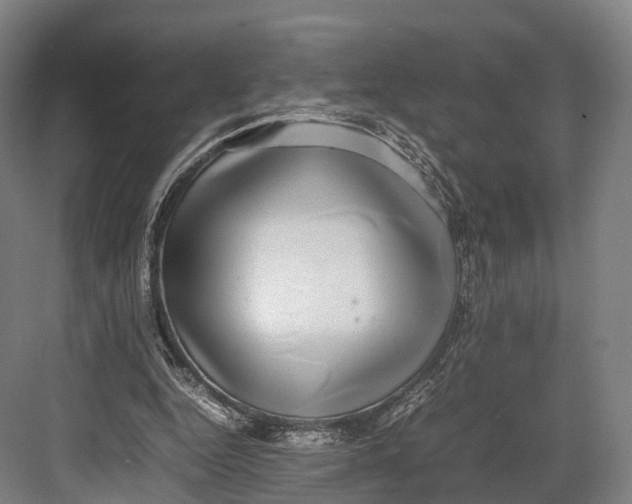 X0000082690344200702161730