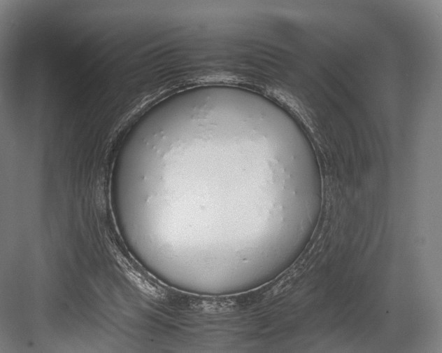 X0000082690345200702161730