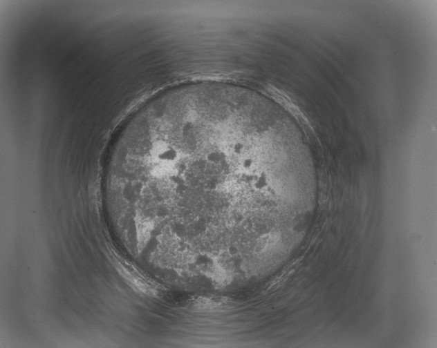 X0000082690346200702161730