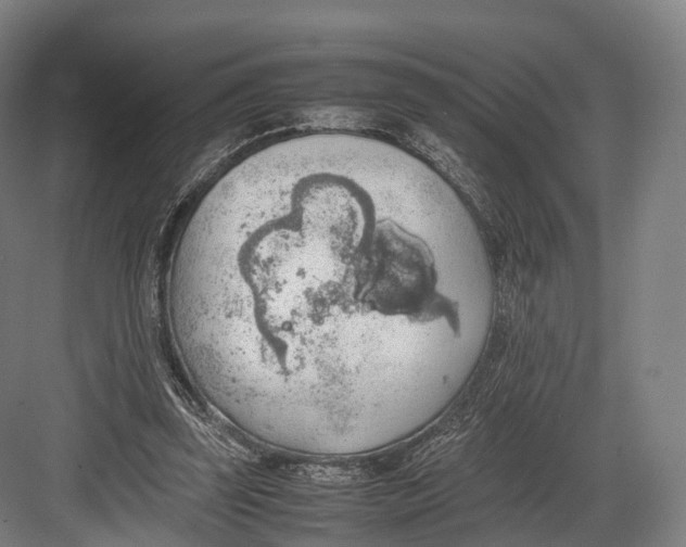 X0000082690347200702161730