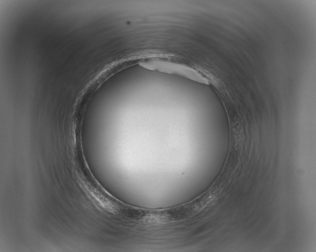 X0000082690350200702161730