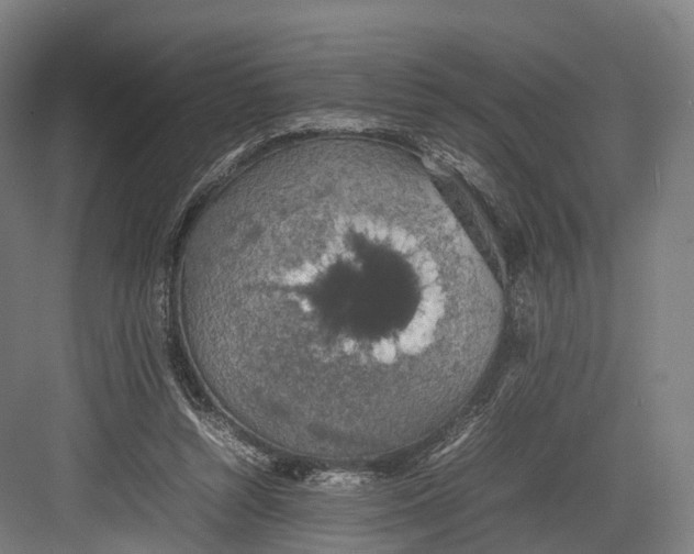 X0000082690352200702161730