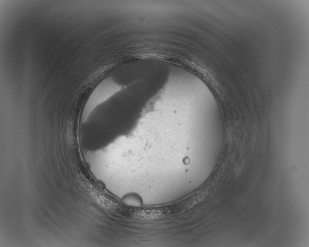 X0000082690353200702161730