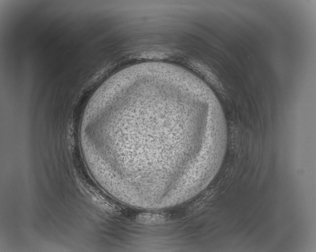 X0000082690354200702161730