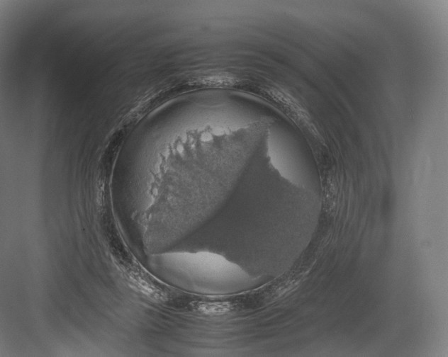 X0000082690355200702161730