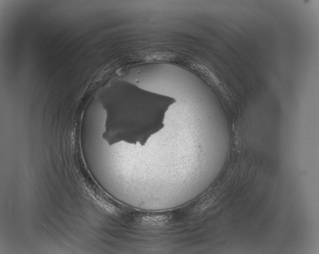 X0000082690357200702161730