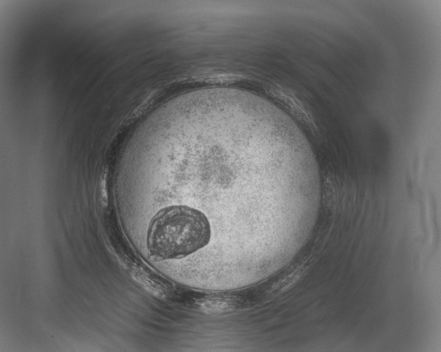 X0000082690358200702161730