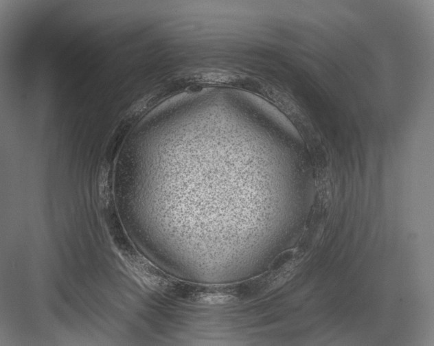 X0000082690360200702161730