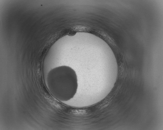 X0000082690361200702161730