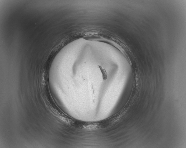 X0000082690362200702161730