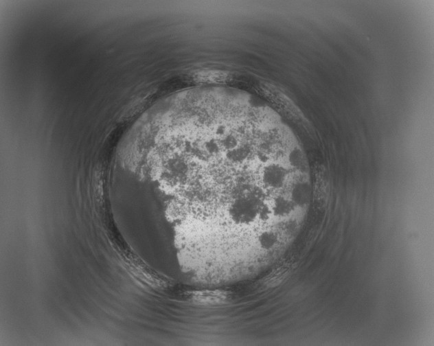 X0000082690363200702161730